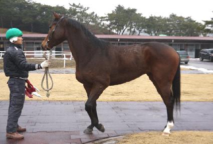 ����Ƽ������Ʈ ����