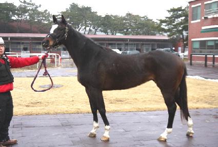 ����Ʈ��ŵ ����