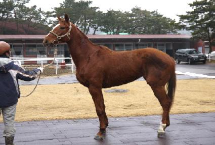 ���ϻ��̴� ����