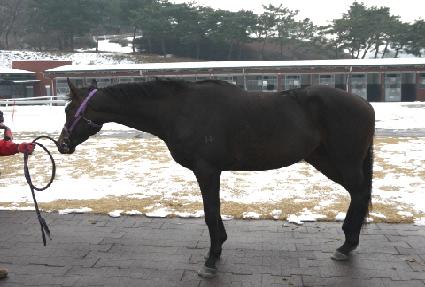 �۷ι�ȣũ ����