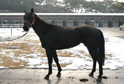 ��ž ����