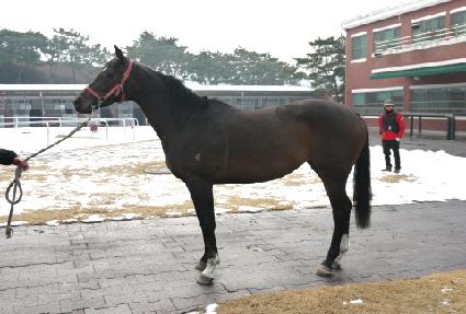 ��Ʈ������ ����