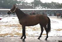 ��Ʈ��ǻó (STRONG FUTURE) ����