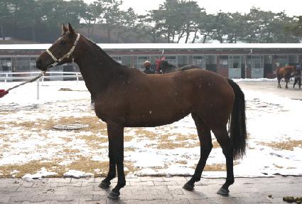 ��Ʈ��ǻó ����