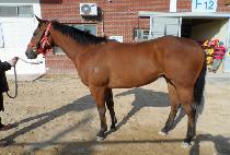 ���������¾� (TTEOOREUNEUNTAEYAN) ����