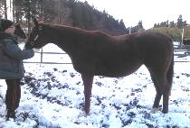 ��츮���÷��� (HEAVENLY SPLENDOR) ����