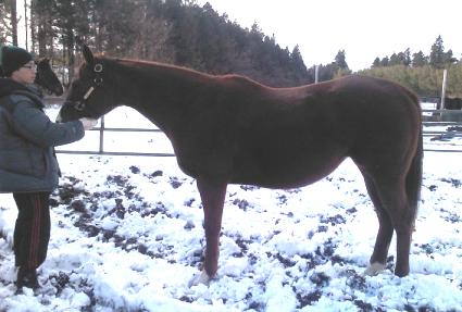 ��츮���÷��� ����