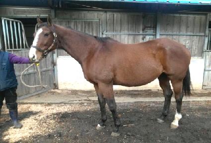 ��Ÿ���� ����