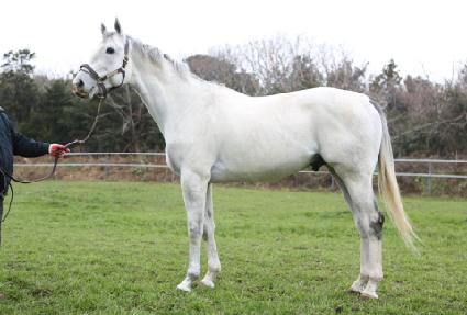 ���ø�Ʈ����� ����