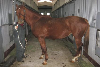 ����Ŀ� ����