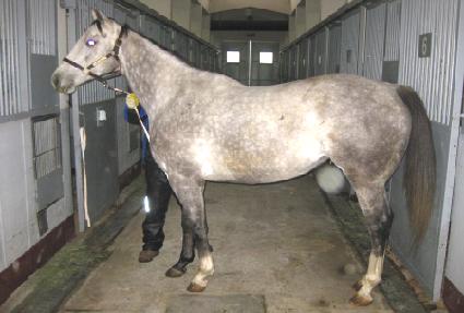 ���� ����