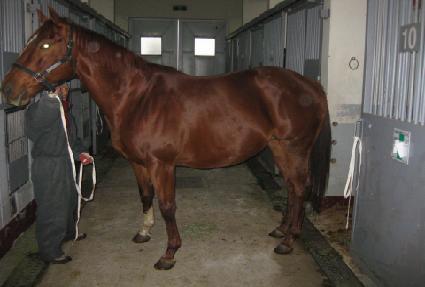 ���ε� ����