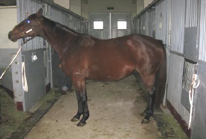 ���и���� ����