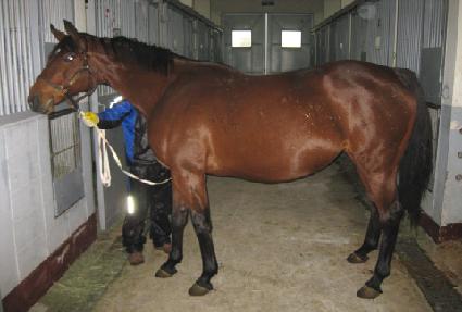 �����Ҽ� ����