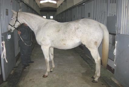 ���Ǵ׾� ����