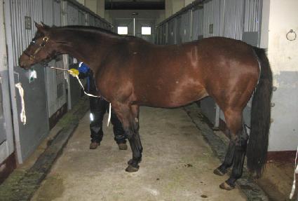 ��������Ű�� ����