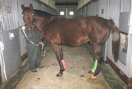 ����޸� ����