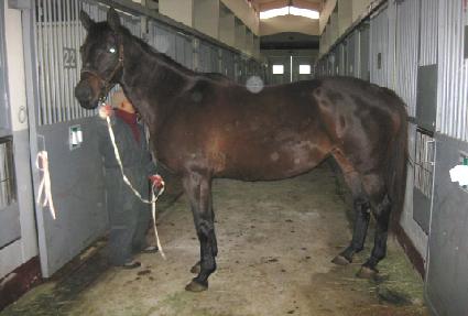 �׷���Ʈ�긮�� ����