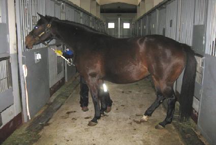 ���� ����