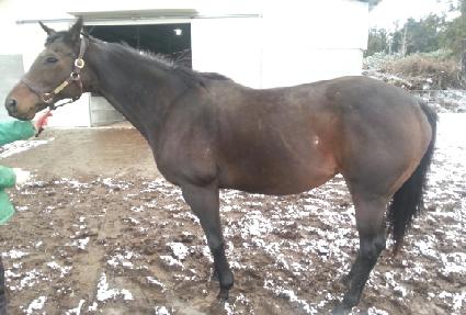 ���ͷ��� ����