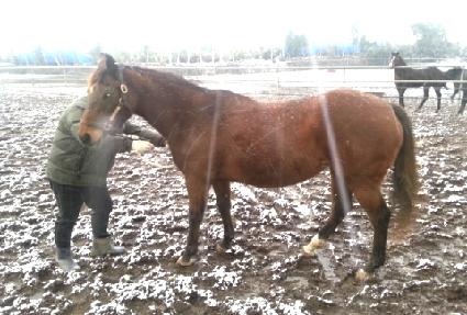 ���̽�Ƽü��Ű ����