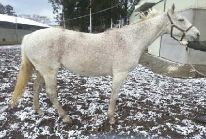 ���̵�����ƾ ����