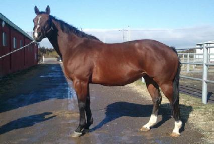 ��Һ��̺� ����