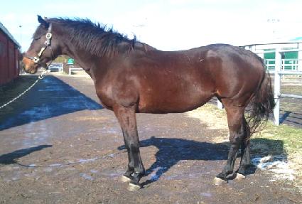 �������� ����