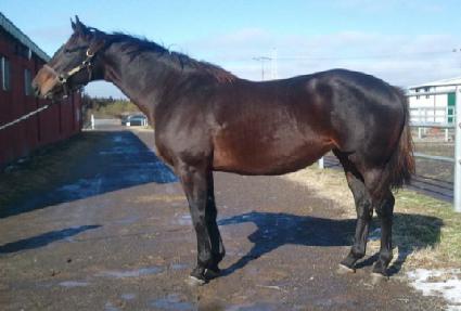 �˴� ����