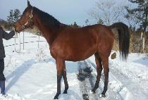 ĵ��� (CANDY MA��AM) ����