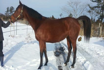 ĵ��� ����