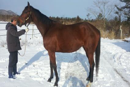 ����ũĹ ����