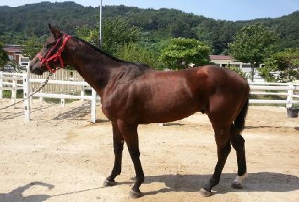 ��к��� ����