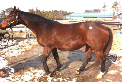 ��ž��ŷ ����