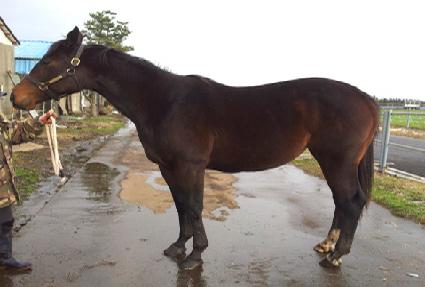 �������丮 ����