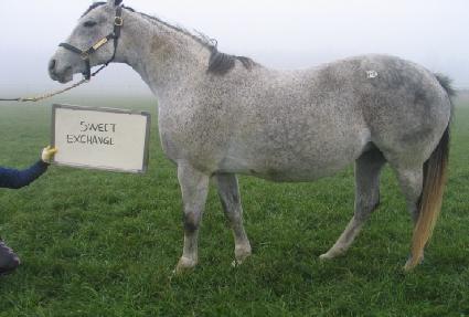 �����ͽ�ü���� ����