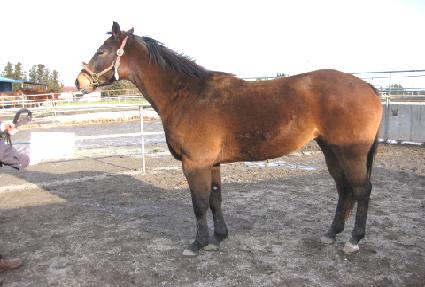 ���������Ʈ ����