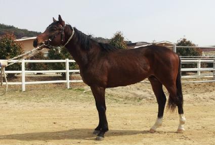 �������� ����