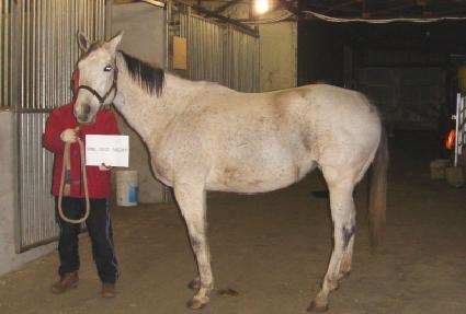 ������Ʈ����Ʈ ����