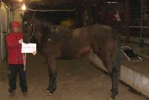 ���̾�ع��̽� (FIRE AND VICE) ����