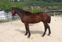 �⼱���� (GISEON JEAP) ����