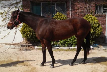 ��ǳ������ ����