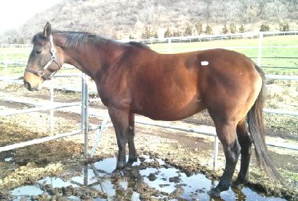 �κ���������Ʈ�� ����