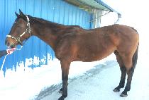 EMBRACING KRISSY picture