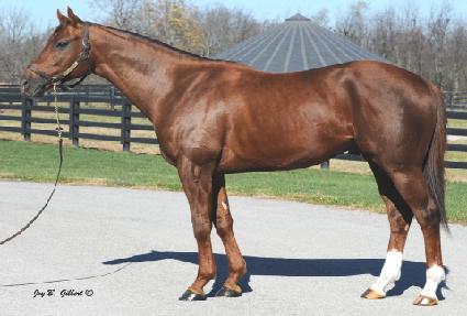 ��ĭ�� ����