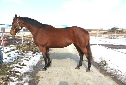 �������� ����