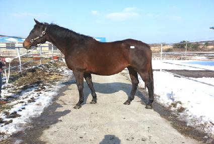 Ŀ����Ÿ�� ����