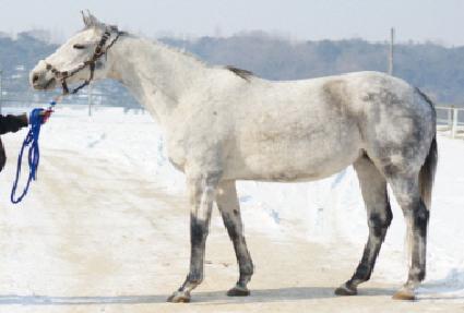 ���Ǿ���Ͽ�Ÿ ����