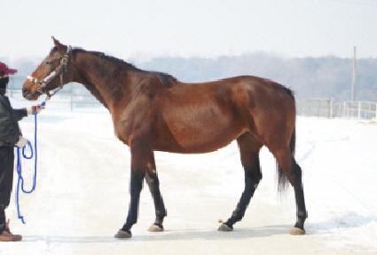 į�����ʹ����� ����