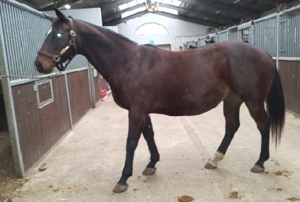 �����ڽ����� ����